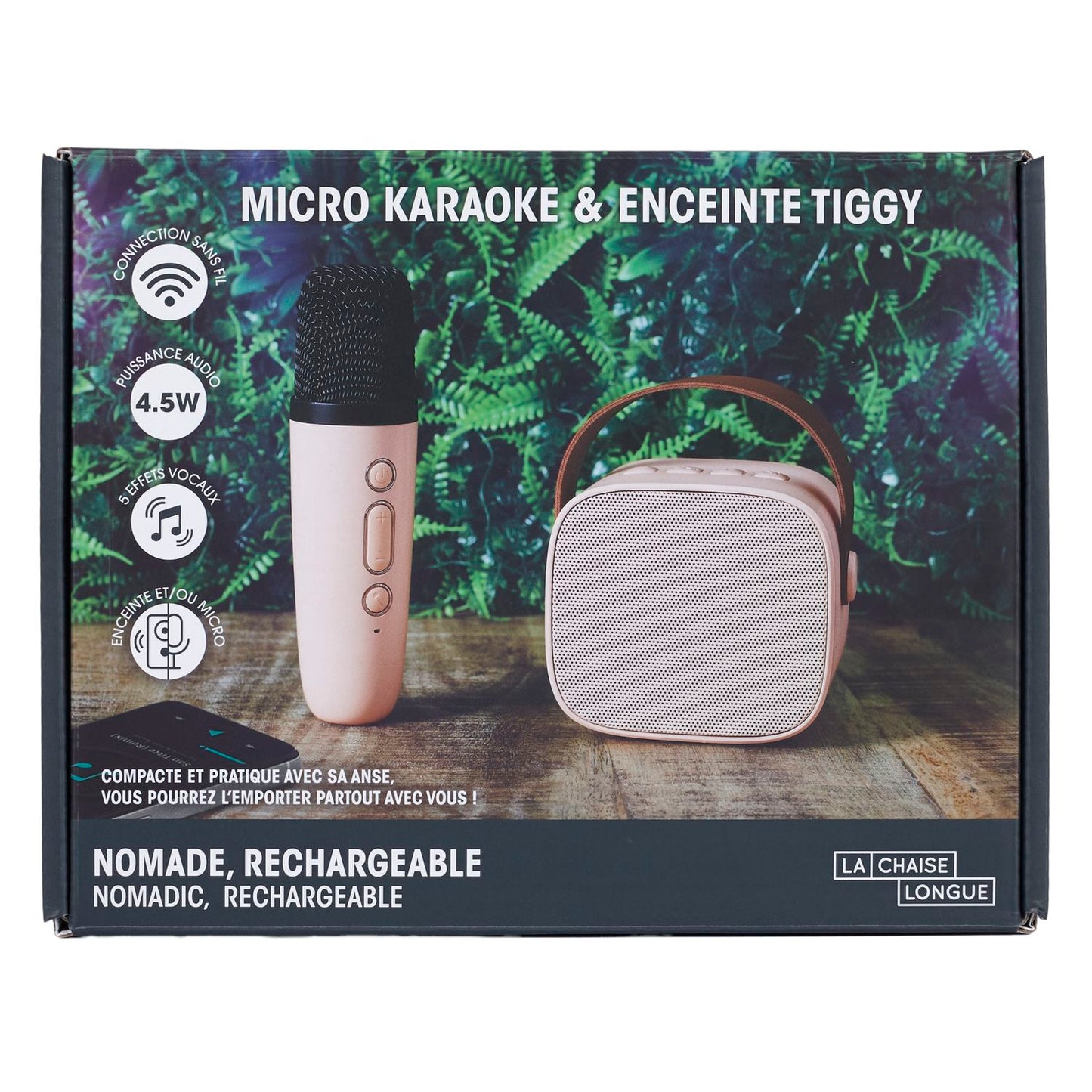 ENCEINTE MICRO KARAOKE TIGGY ROSE