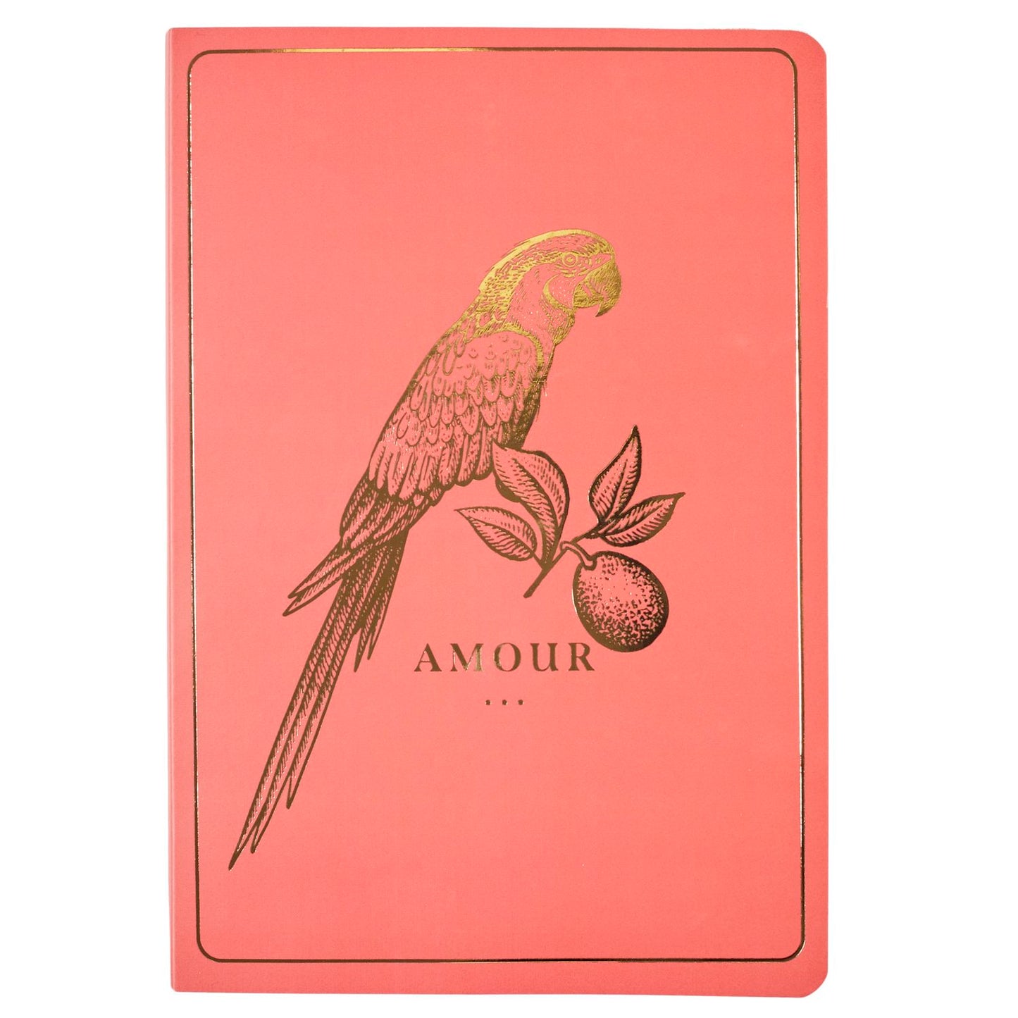 COFFRET NOTEBOOK JARDIN D'EDEN